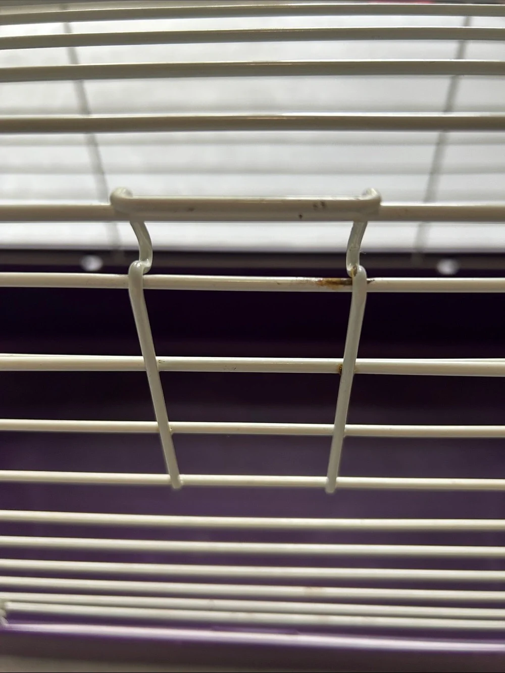 Purple & White Guinea Pig Cage -Y2K